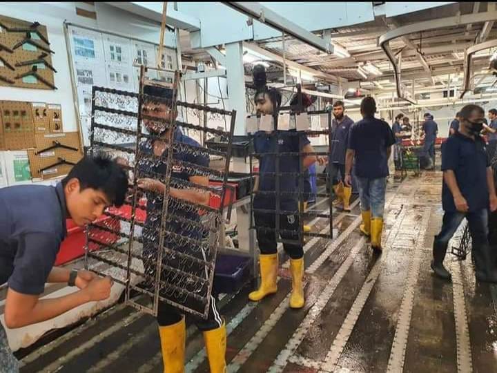 မလေးရှားက မြန်မာလုပ်သားခေါ်တာနည်းလို့ သွားရောက်လိုသူတွေနဲ့အေဂျင်စီတွေအခက်တွေ့