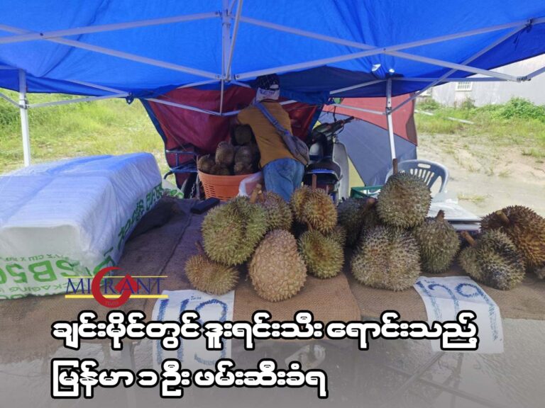 ချင်းမိုင်တွင် ဒူးရင်းသီးရောင်းချသည့် မြန်မာ ၁ ဦး ဖမ်းဆီးခံရ